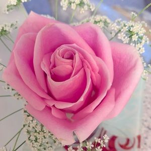 Meet your Posher, Nina